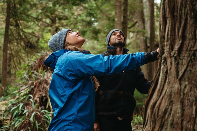 Broken Group Islands Day Tour - First Nations history and old-growth forest