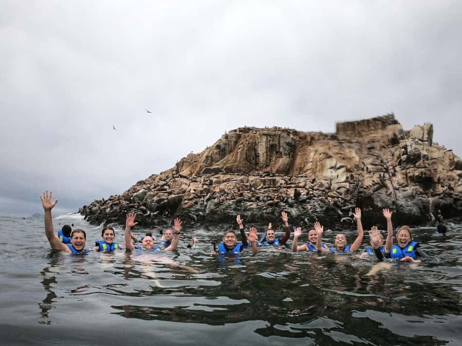 Callao: Swimming with Sea Lions Palomino Islands Boat Tour - The Callao Departure Requires Some Planning