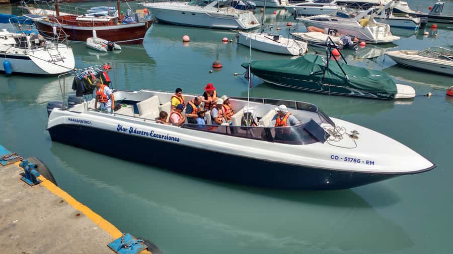 Callao: Swimming with Sea Lions Palomino Islands Boat Tour - Boat Comfort, Sea Conditions, and Changing Clothes