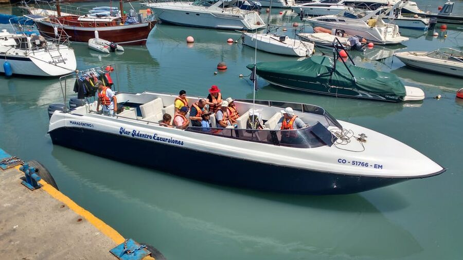 Callao: Swimming with Sea Lions Palomino Islands Boat Tour - Photos, Guides, and the Human Touch