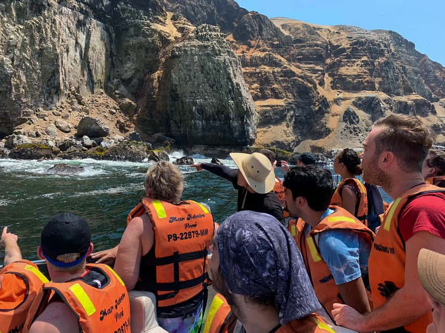 Callao: Swimming with Sea Lions Palomino Islands Boat Tour - Palomino Island and the Sea Lion Colony