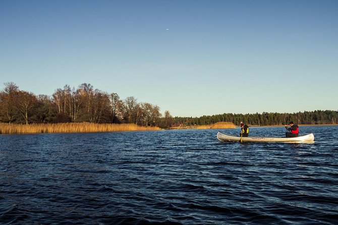Canoe adventure in Stockholm Archipelago - Wildlife, wind, and the return paddle