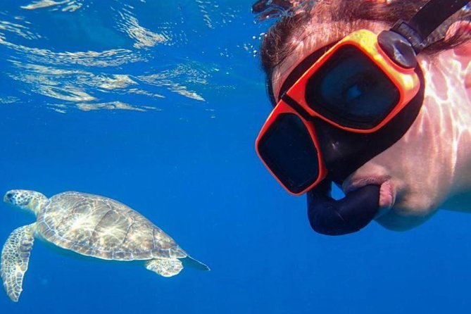 CAPTAIN ALAN'S 4hr -3 Islands-snorkeling-turtles-beach ADVENTURE - A four-hour boat day with a useful mix