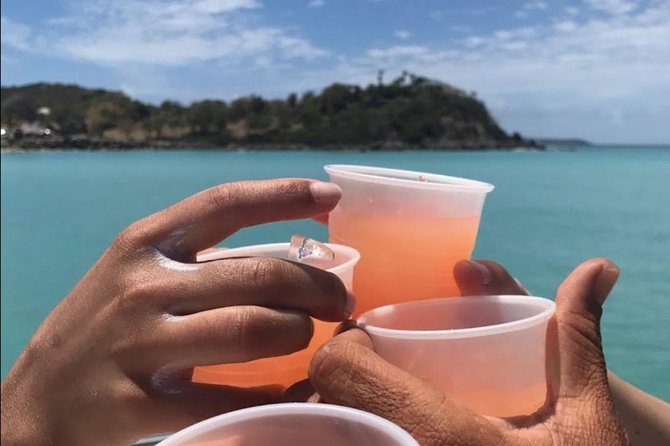 CAPTAIN ALAN'S 4hr -3 Islands-snorkeling-turtles-beach ADVENTURE - Who will enjoy this outing most?