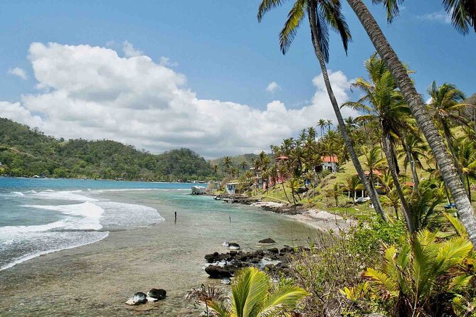Caribbean Day Tour: Isla Grande, Mamey, Monkey Island & Portobelo - What the $154 price really covers