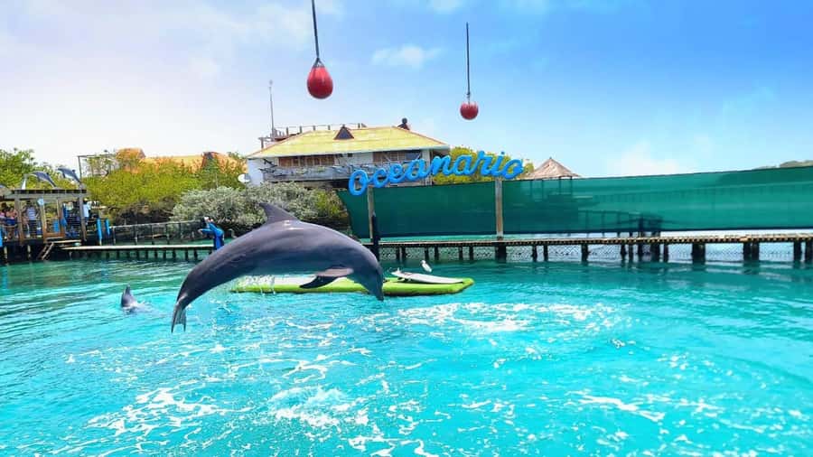 CARTAGENA: 4 islands by sport boat +oceanarium tickets - Bocha Chica and the forts of Tierra Bomba