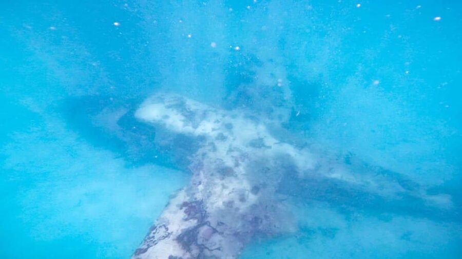 CARTAGENA: 4 islands by sport boat +oceanarium tickets - The submerged airplane and the Oceanarium