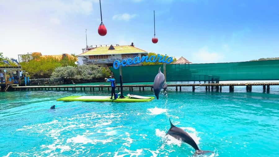 CARTAGENA: 4 islands by sport boat +oceanarium tickets - Baru supplies the quiet finish