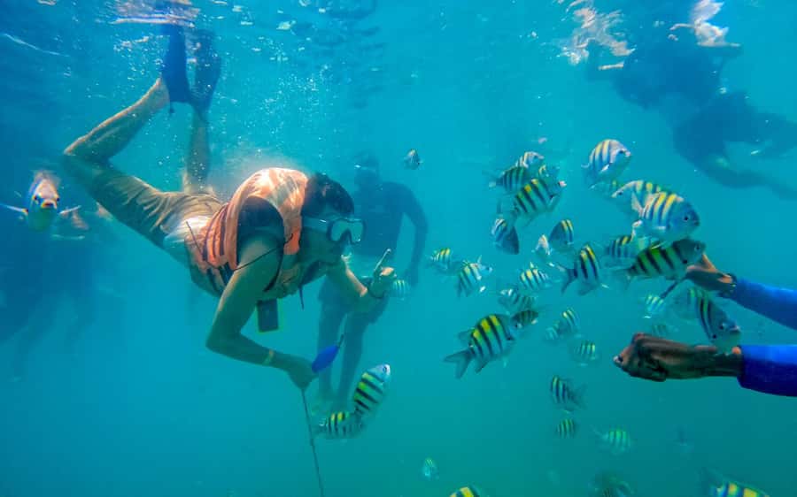 Cartagena: 5 Island Boat Tour with Night Bioluminescent Stop - Playa Blanca and the long afternoon pause