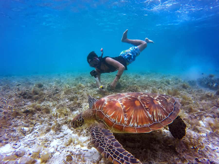 Cartagena: 5 Islands Boat Tour with Lunch, Snorkeling, & Bar - Leaving Cartagena across the bay