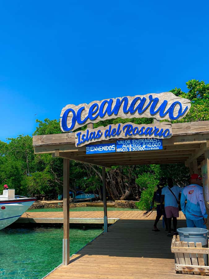Cartagena: 5 Rosario Islands Tour with Snorkeling and Lunch - Snorkeling near the Rosario Islands