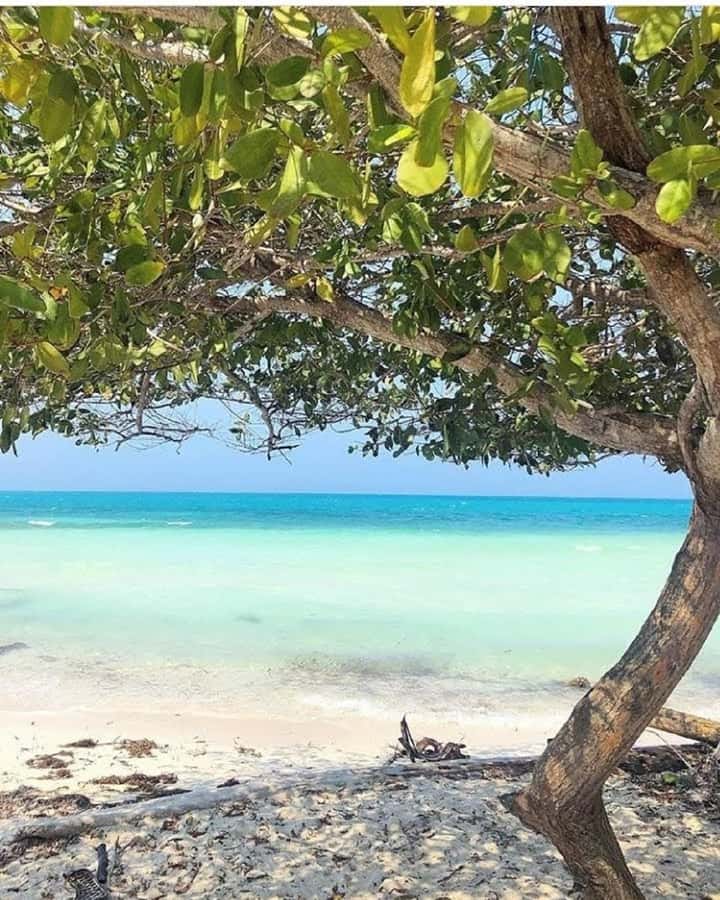 cartagena: Mucura and Santa Cruz Islands Tour spectacular - Who will enjoy this island trip?