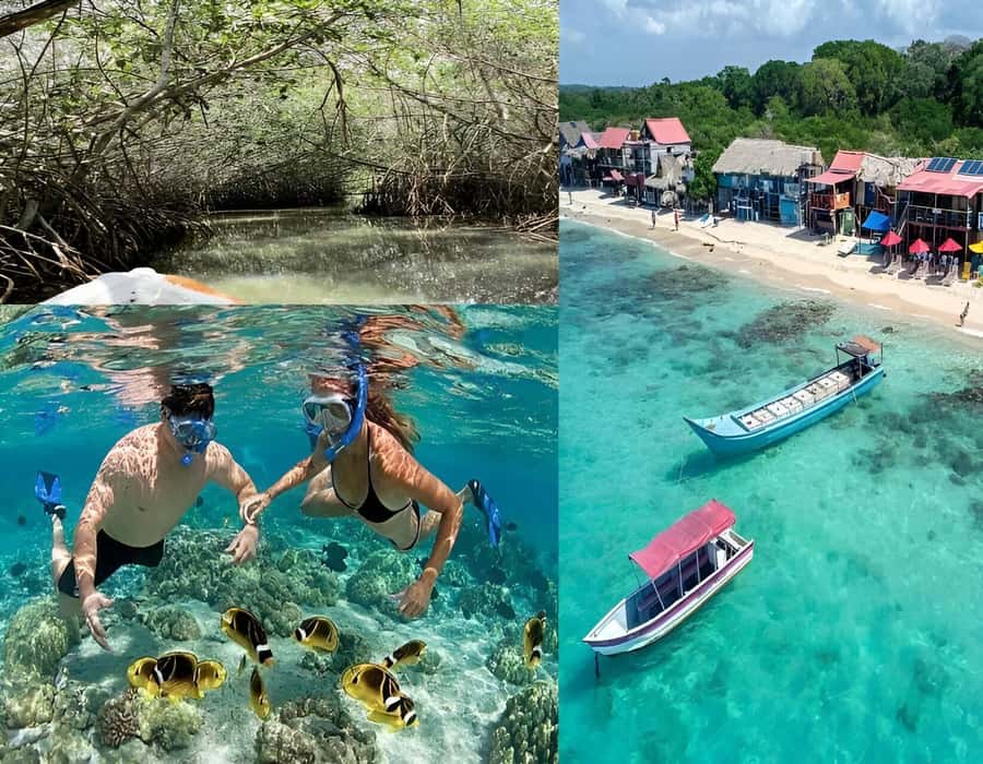 Cartagena: Visit 4 islands in a speedboat + plankton! - Rosario Islands from the speedboat