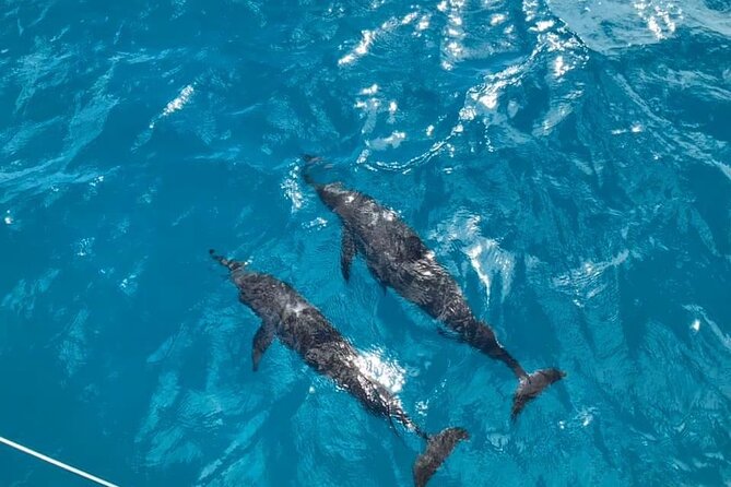 Catamaran Full-Day 3 island Northern Isles Cruise in Grand Baie - The first hour: open water and island views