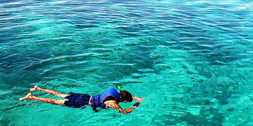 Cebu Island Hopping with Lunch - Gilutungan Marine Sanctuary: the strongest snorkeling stop