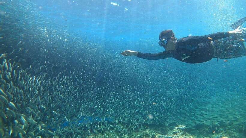 Cebu: Moalboal Island Hopping and Mantayupan Falls Day Trip - Is $112 per person good value?