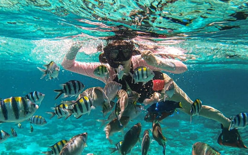 Cebu: Private Mactan Island Hopping Tour with Lunch - Key points to know before booking