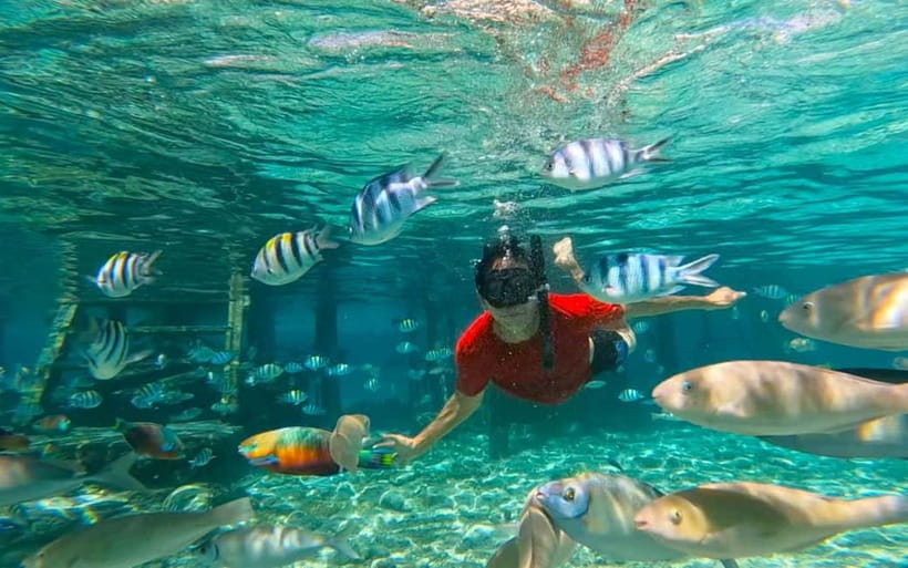 Cebu: Private Mactan Island Hopping Tour with Lunch - Starting from Cebu with a private pickup