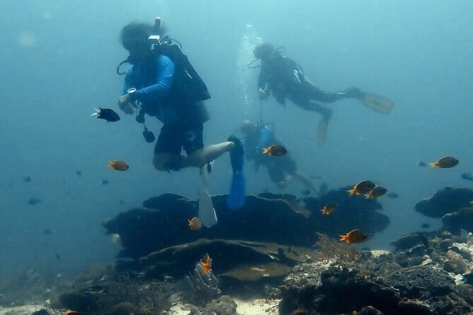 Cebu Private Tour 3 Islands Hopping Gilutungan Caohagan Nalusuan - Who will enjoy this Cebu outing most
