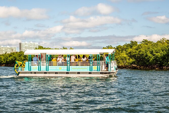Clearwater Island Hop and Dolphin Watch with Swimming - White sand beaches from the water