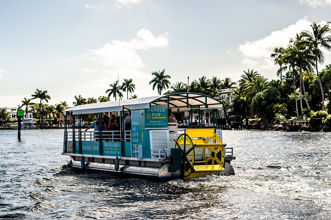 Clearwater Island Hop and Dolphin Watch with Swimming - Crew style and the social atmosphere