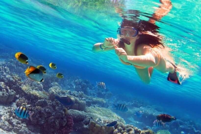Coron: Coastal Cliffs, Beach & Malcapuya Island Hopping Tour - Key points to know before booking