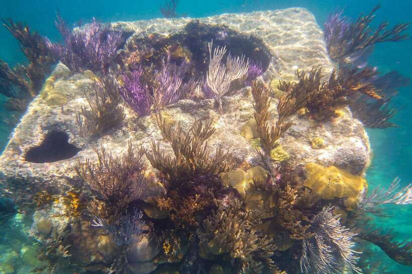 Coron: Coastal Cliffs, Beach & Malcapuya Island Hopping Tour - The pace, weather, and service can make or break the day