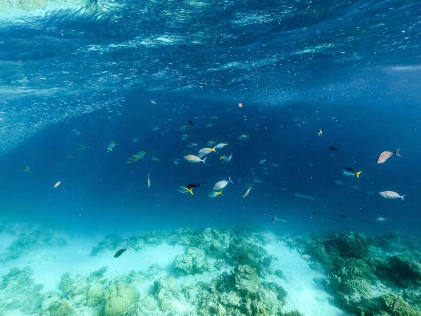 Coron Island Hopping: Super Ultimate Private Tour - Twin Lagoon feels like a short passage into another world