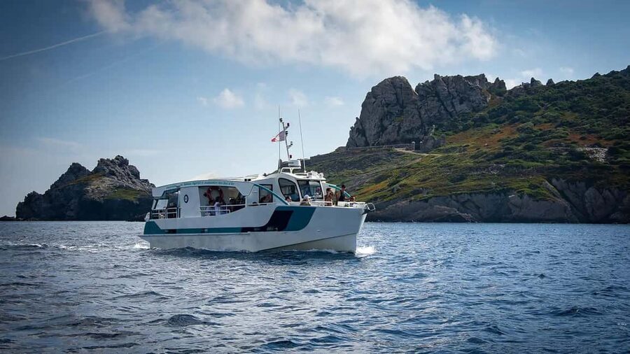 Cruise of the 2 Islands: Porquerolles & Port-Cros with stops - Key points to know before booking