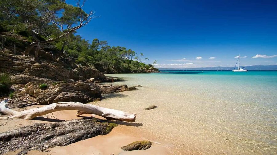 Cruise of the 2 Islands: Porquerolles & Port-Cros with stops - Why this two-island cruise works