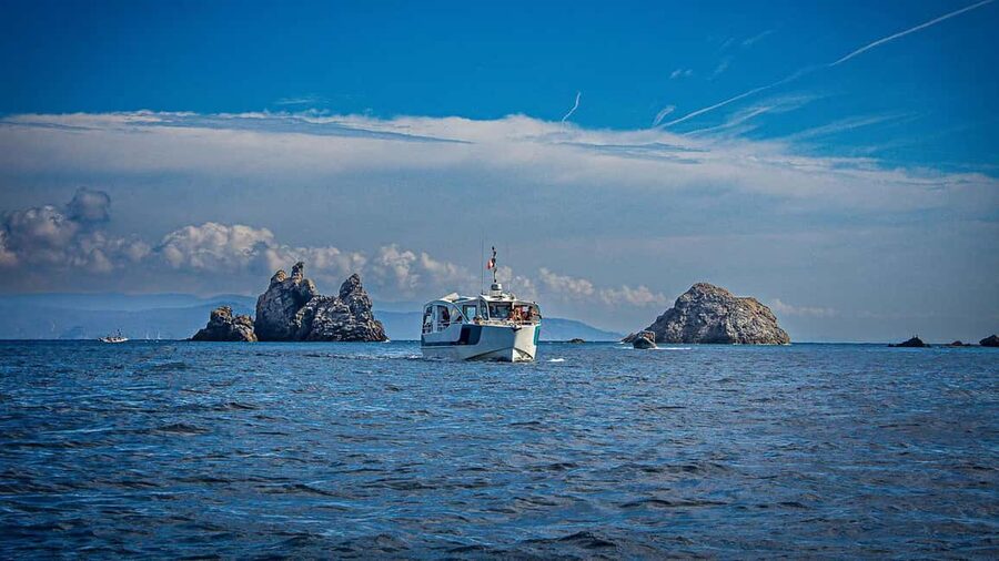 Cruise of the 2 Islands: Porquerolles & Port-Cros with stops - Porquerolles: four and a half hours to choose your own route