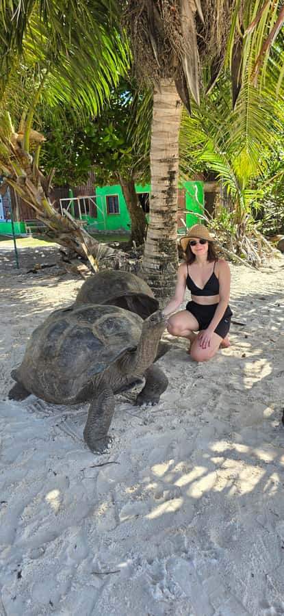 Curieuse and St. Pierre Islands Day Trip with BBQ Lunch - Why this Praslin day trip works so well