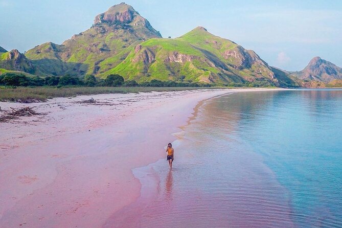 Daily Trip Highlight Komodo Archipelago by Speed Boat - A long day from Labuan Bajo to the Komodo islands