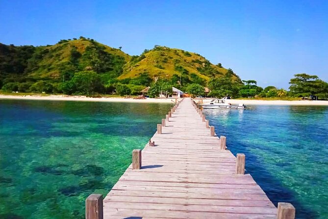 Daily Trip Highlight Komodo Archipelago by Speed Boat - Pink Beach is your first water break
