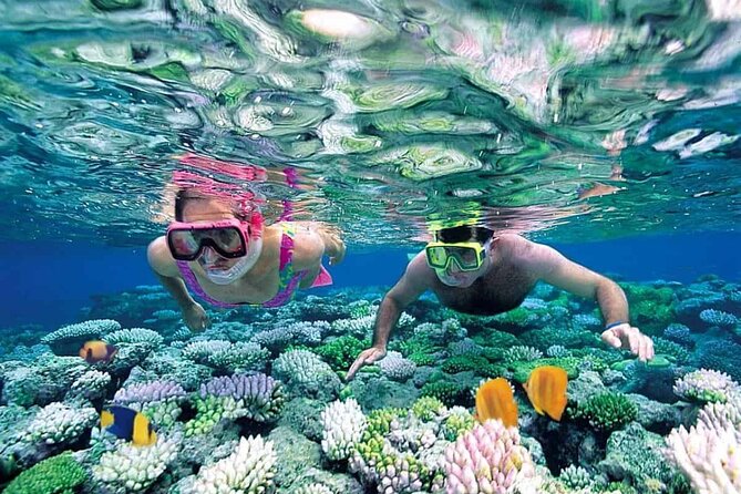 Discover 2 Islands of Phu Quoc by boat - Snorkeling around Gam Ghi or Buom Islet