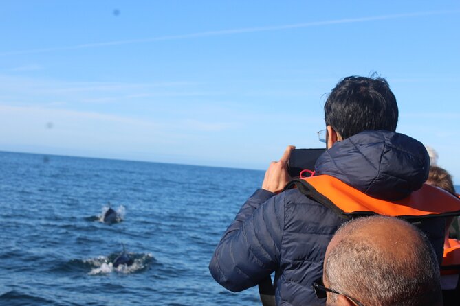 Dolphin Watching + 2 Islands Tour - From Faro - Starting in Faro at 8:30 a.m.