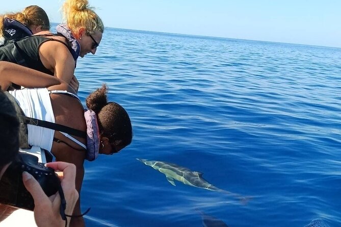 Dolphin Watching + 2 Islands Tour - From Faro - Is $72.59 good value?