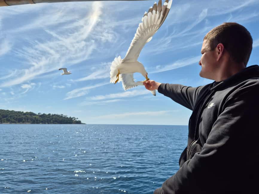 Dubrovnik: 3 Island Boat Tour with Lunch and Guide - The Best Parts of This Dubrovnik Boat Day