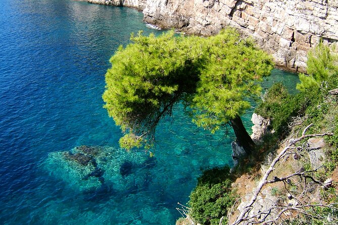Dubrovnik: 3 Islands Boat Tour with Lunch & drinks(FR, ES, EN) - Who will enjoy this tour most?