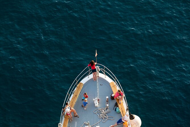 Dubrovnik: 3 Islands Fun Day Trip by Boat (Host: EN,FR,ES) - The return to Port Gruž and Dubrovnik views