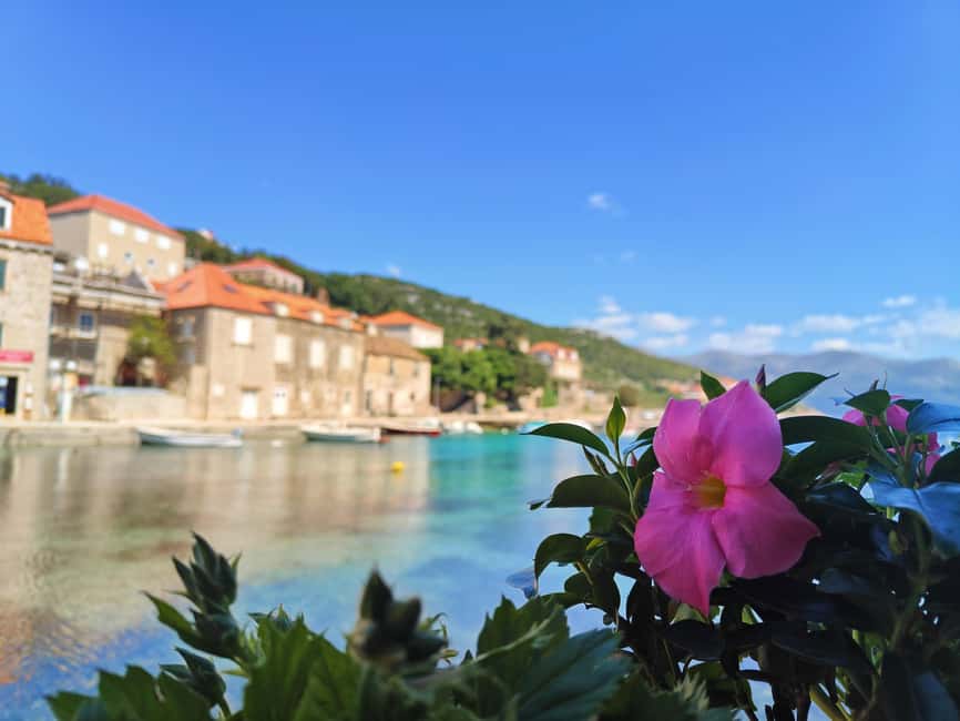 Dubrovnik: Blue Cave & Elaphiti Islands Full-Day Boat Tour - Koločep brings pine woods and a car-free village