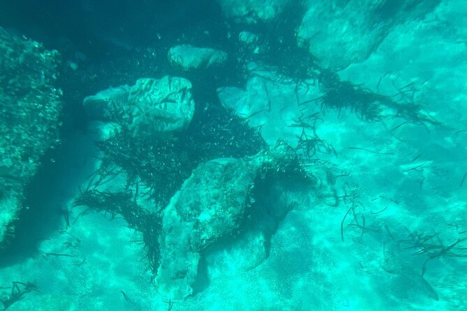 Dubrovnik: Blue Cave & Elaphiti islands & Optional Lunch Onboard - Swimming into the Blue Cave