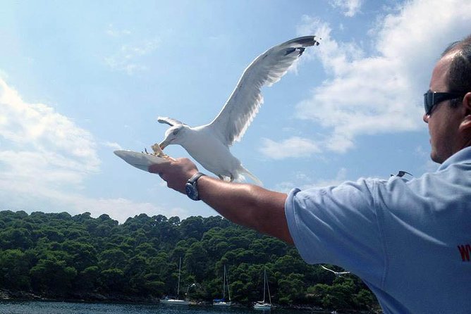 Dubrovnik Elafiti Islands Cruise with Lunch, Drinks and Pickup - Šipan and Suđurađ: a quiet waterfront finish