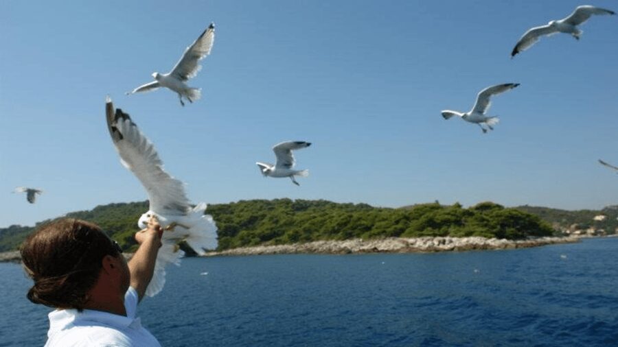 Dubrovnik: Elaphiti Islands Boat Cruise with Lunch & Drinks - Lopud and Šunj Beach: the longest and best stop