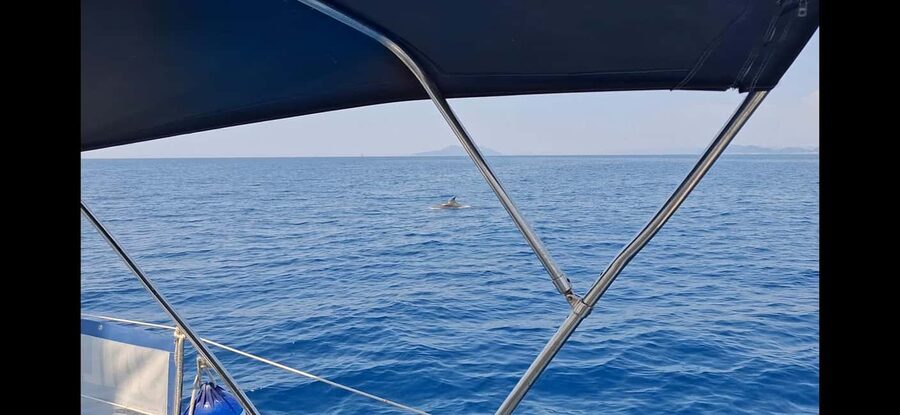 Dubrovnik:Half Day Private Boat Tour to Elaphiti & Blue Cave - Who will enjoy this four-hour outing
