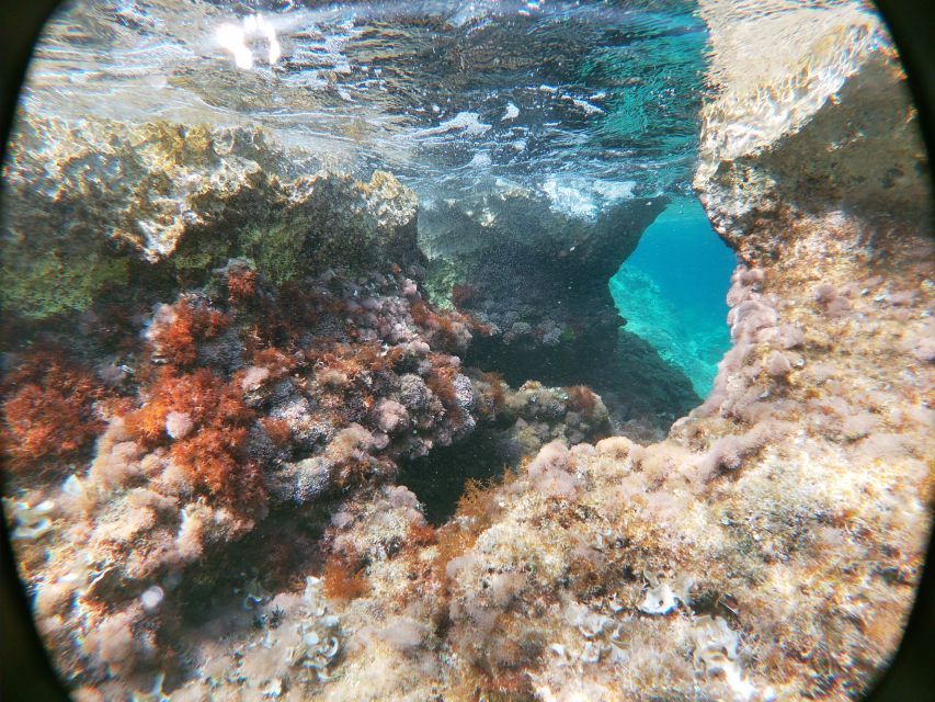 Dubrovnik: Half-Day Private Boat Trip to Elafiti Islands - Šunj Beach, Lopud’s sandy surprise