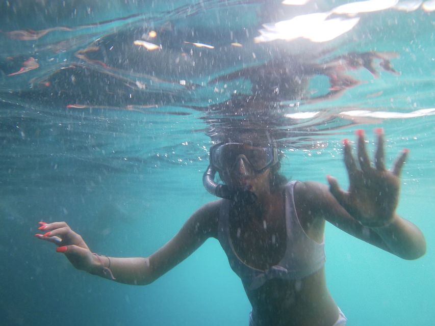 Dubrovnik: Half-Day Private Boat Trip to Elafiti Islands - Is four hours enough?