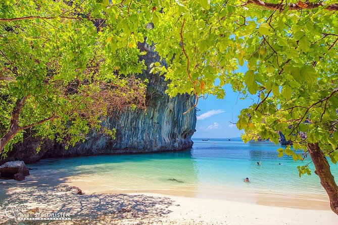 ECO Premium Island Hopping to Hong Island Tour by Longtail Boat - What the $81 price really buys you