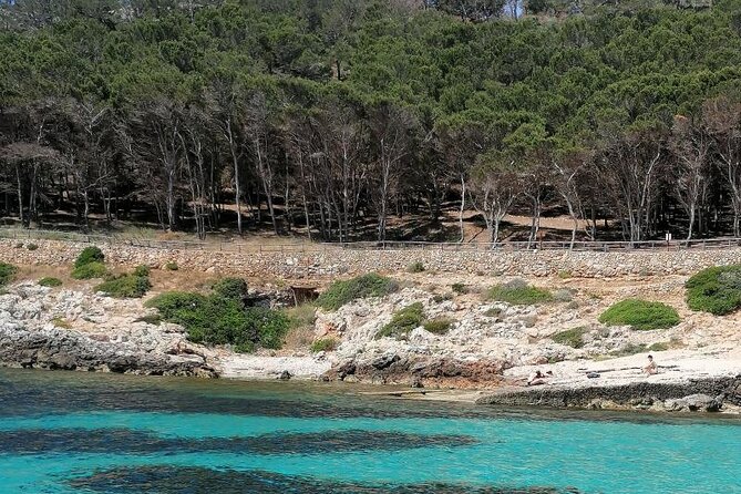 Egadi Islands Boat Tour: Favignana and Levanzo with Lunch - Why this Egadi Islands boat tour works