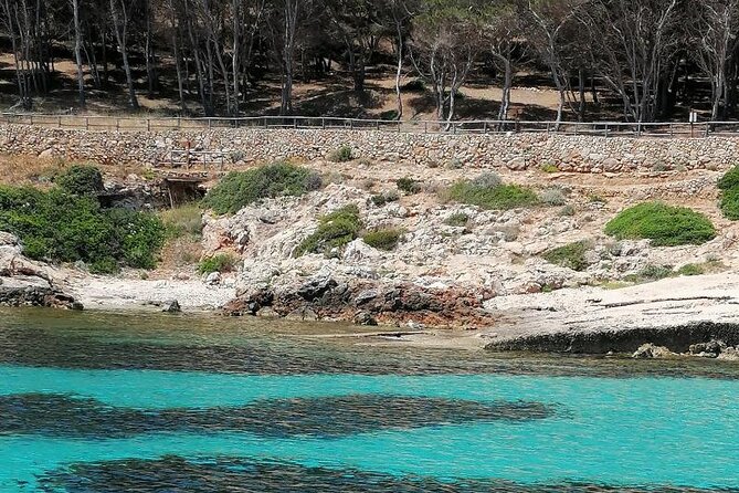 Egadi Islands Boat Tour: Favignana and Levanzo with Lunch - Lunch beside the old Florio tuna factory